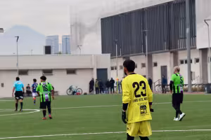 Partido